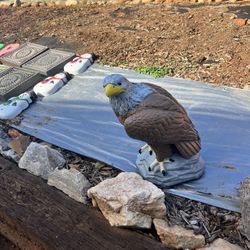 Handmade And Hand Painted Solid Concrete Eagle Statue. New.