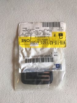 Chevy Chevrolet LS BADGE Oem