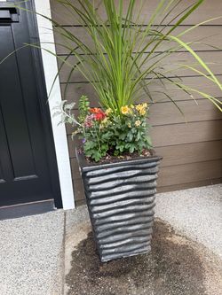 Planter Pots