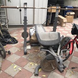 Golds Gym Platinum Got All The Set Of Weights 
