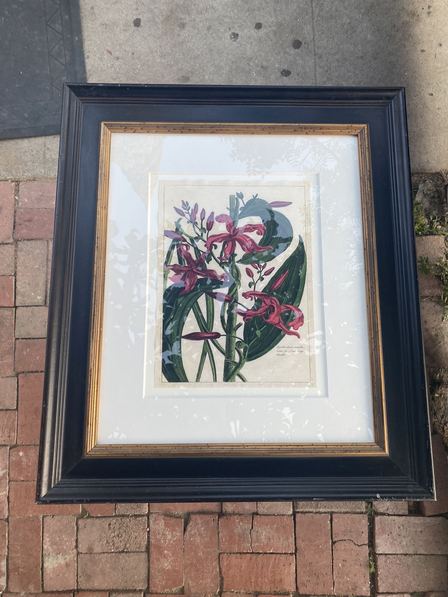 Fleur Mde Rouge III , The Raschella Collection