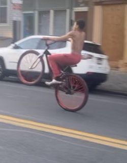 29 Inch Red And Black Big Ripper