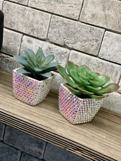 Bling Succulent Decor