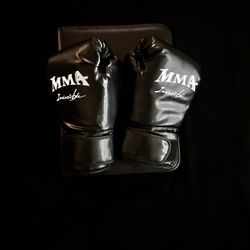MMA Boxing Gloves
