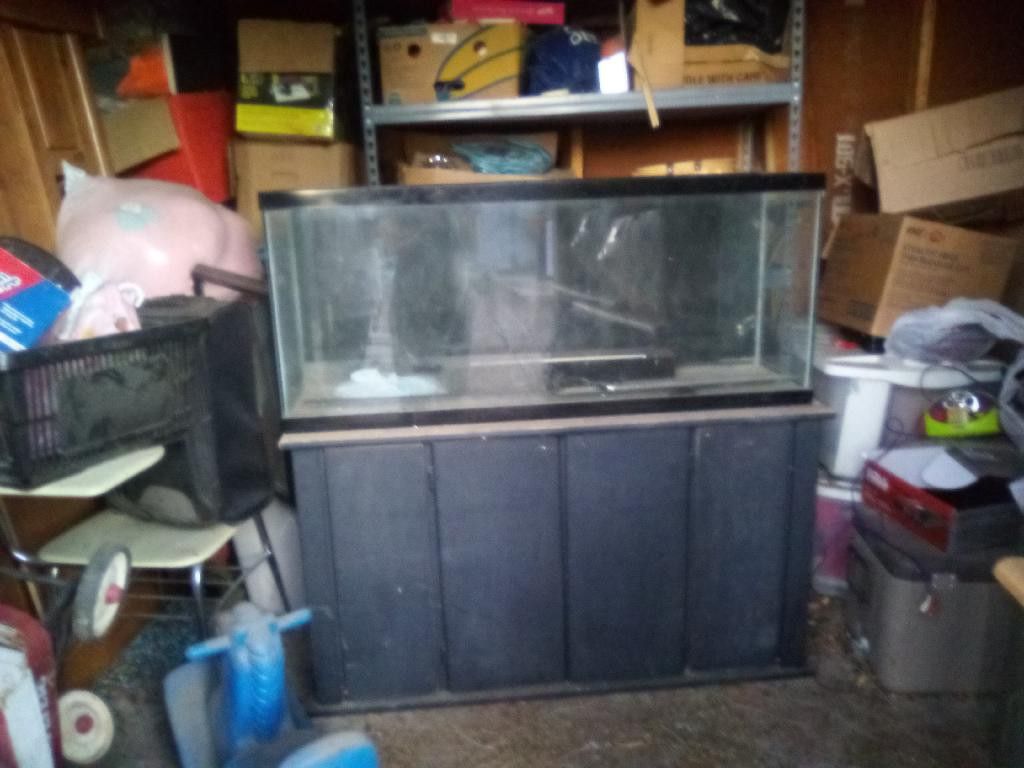 90 Gallon Aquarium Tank