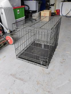 30x21 1/2x24tall metal collapsible dog crate
