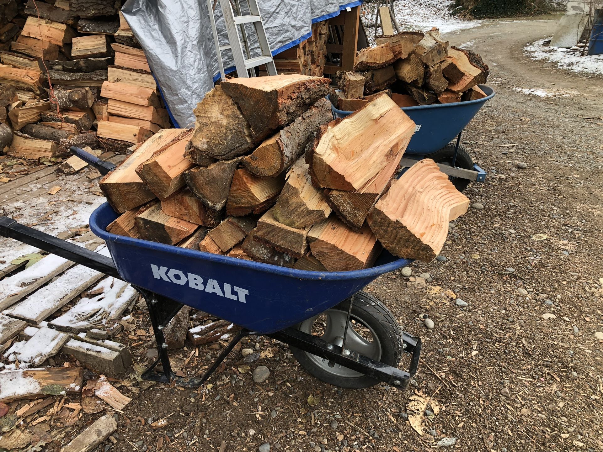 Seasoned Firewood