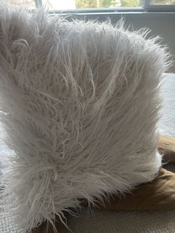 Decorative Cushions