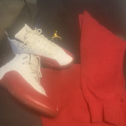 Air Jordan Cherry Red 12
