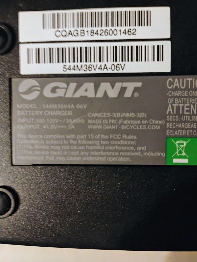 Giant EnergyPak Fast Charger 544M36V4A-06V 41.8 volts for Sale in