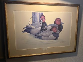 Duck Artwork Resting Reds