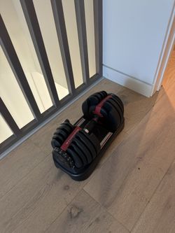 Bowflex Dumbbell 