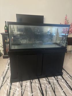 Glass Tank With Stand