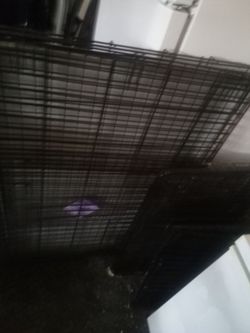 Dog/pet cages