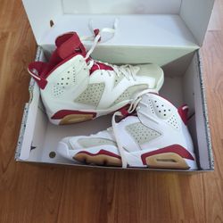 Jordan Air VI