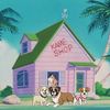 The Kame Shop