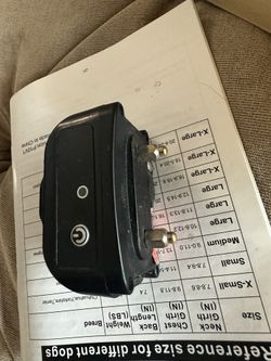 Dog Shock Training Collar.