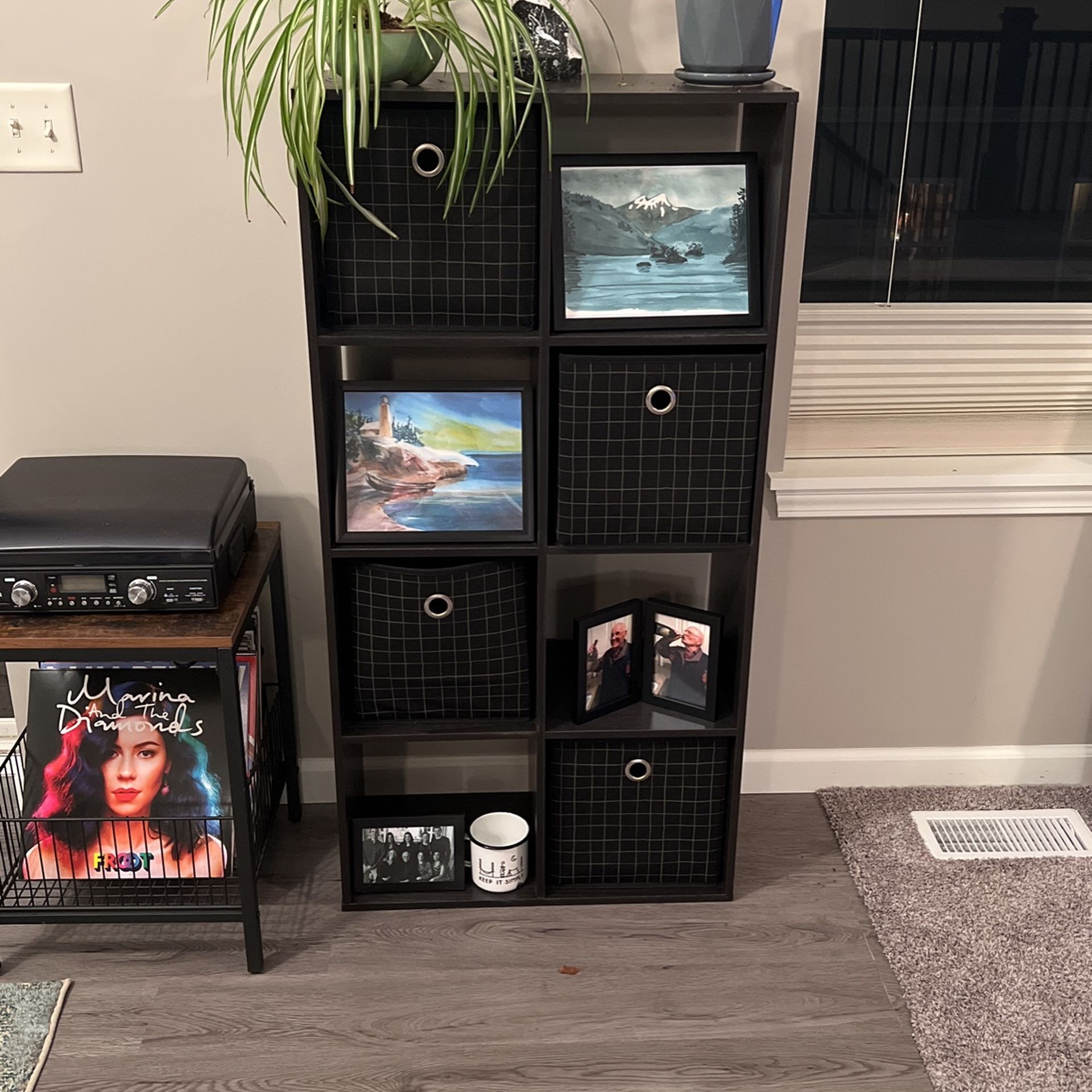 Shelving w/Fabric Boxes $15