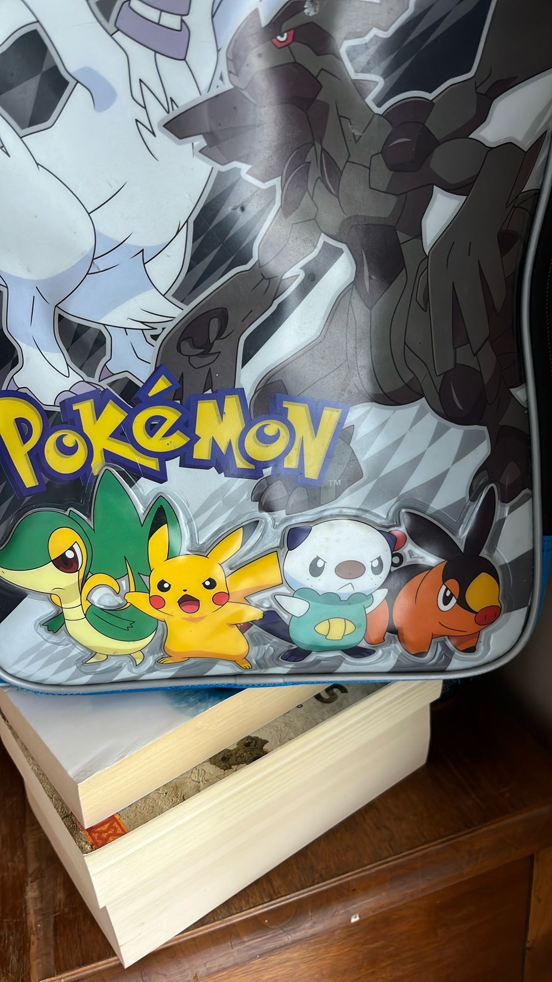 Pokemon Backpack 
