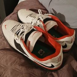 Nike Ishoods Size 11