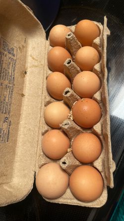 Eggs