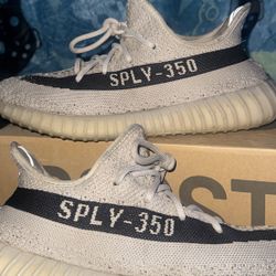 Yeezys 350