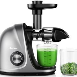 Slow Masticating Juicer and Glass Bottles