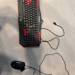 Keyboard & Mouse