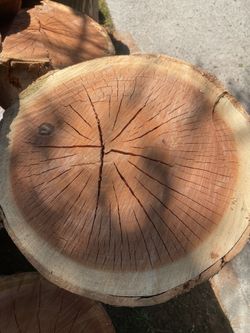 Wood … Diferent Size And Price. 