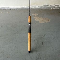 Berkeley Fishing Rod