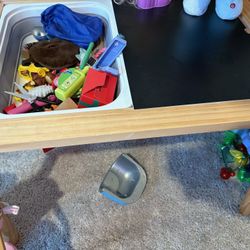 Sensory Table