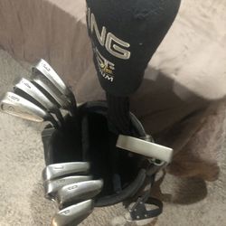 Complete Set Of Titleist Graphite Shaft Irons, Putter And Driver In A Tommy Armpit Tour Bag. A Bonus Cute Brown Bag With Assorted Steel Head Woods