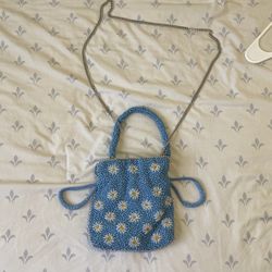 Zara Beaded Purse 