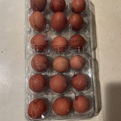 Farm Fresh Chicken Eggs