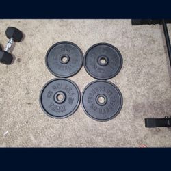 35lb Plates