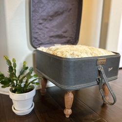 Custom Upcycled Vintage Skyway Suitcase Pet Bed 