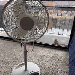 Lasko Standing Fan