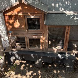 Casa Para Una Mascota