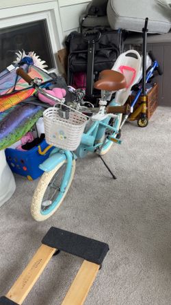 Little girls bike with babydoll carrier