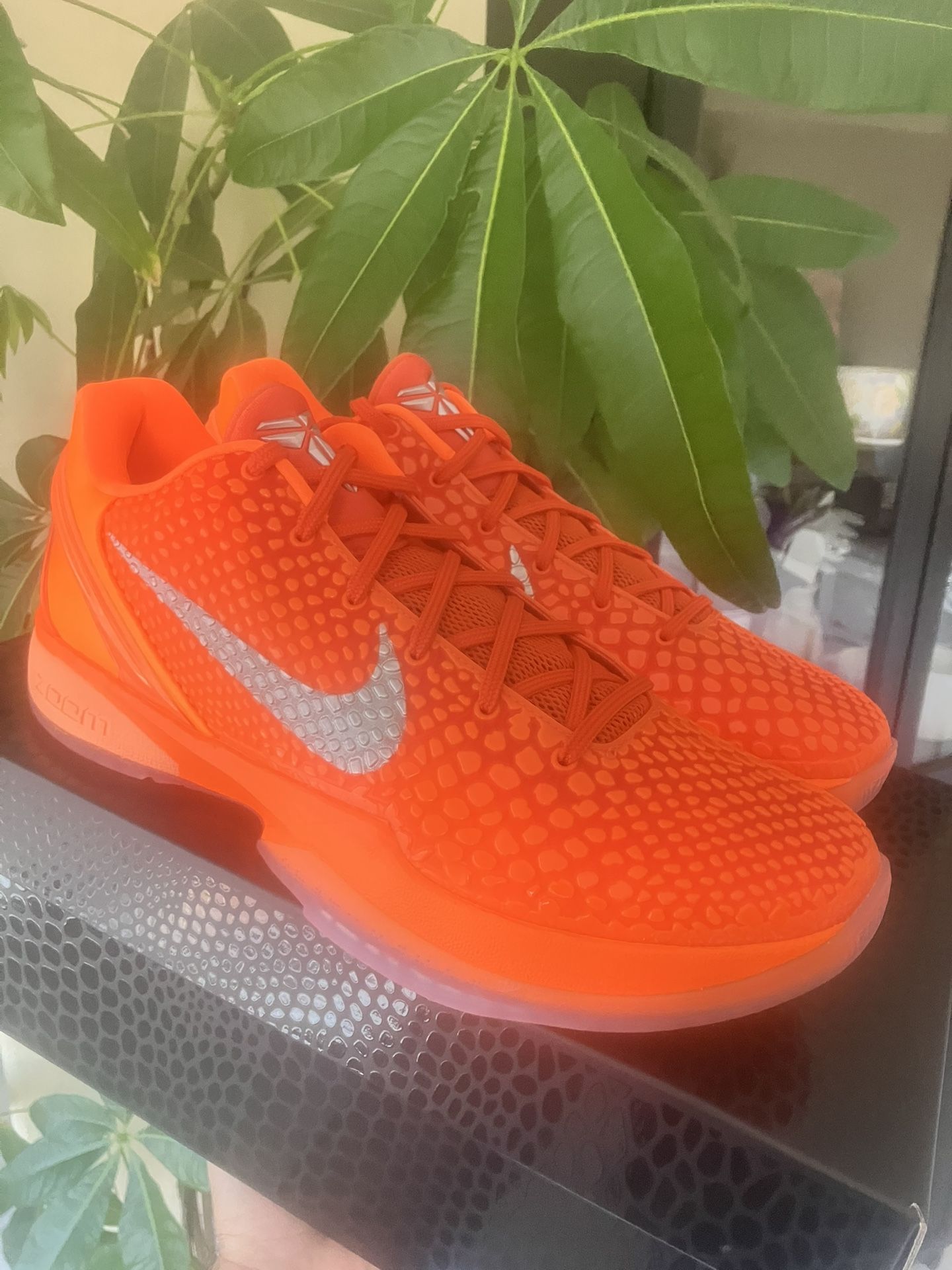 Nike Kobe 6 Protro 10.5