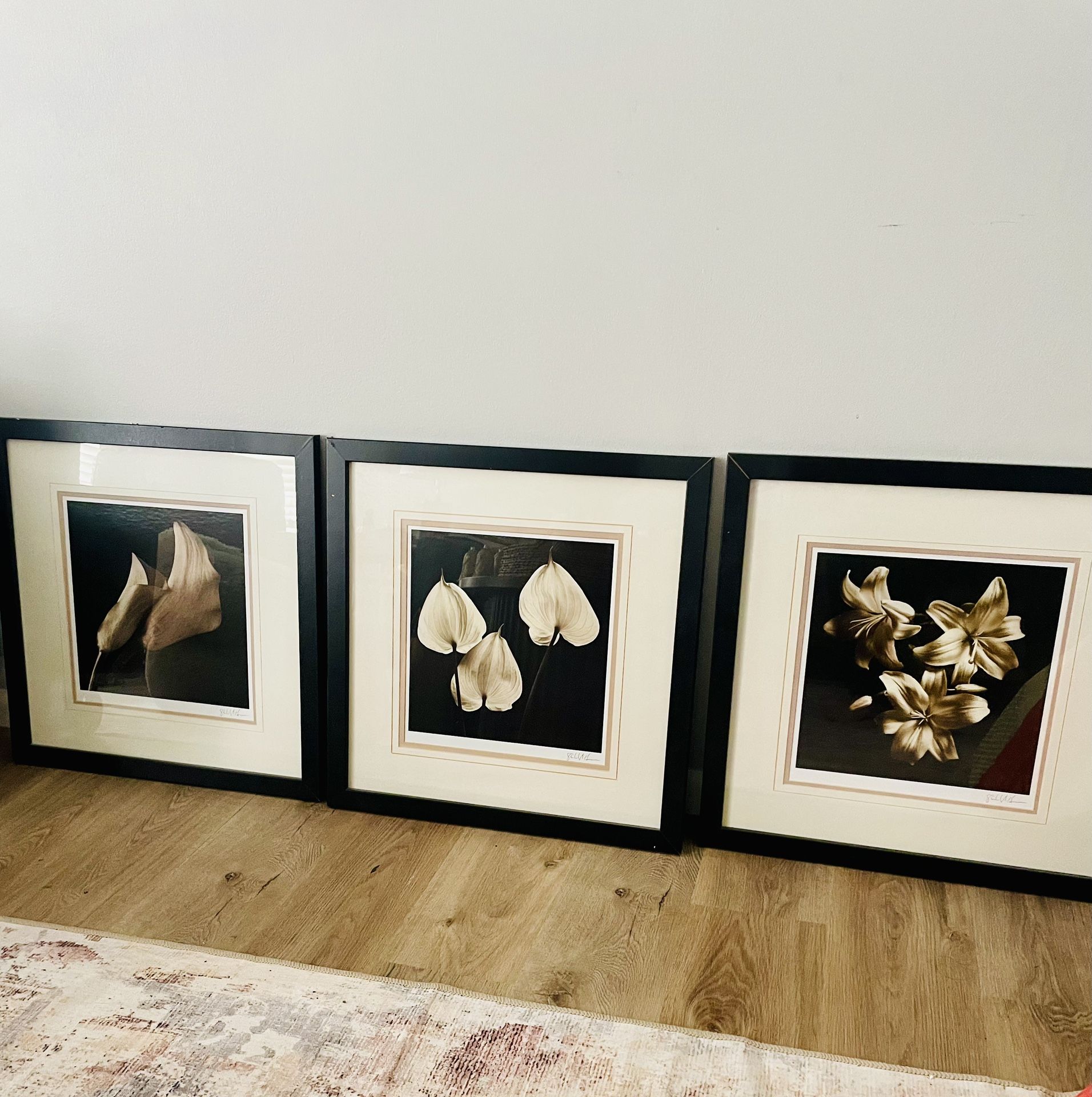 Pictures Set of 3