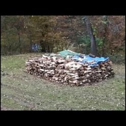 Fire Wood 