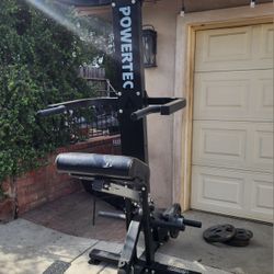 Powertec Assist Pull Up/Dip Station/ Weights 