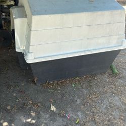 Dog House 