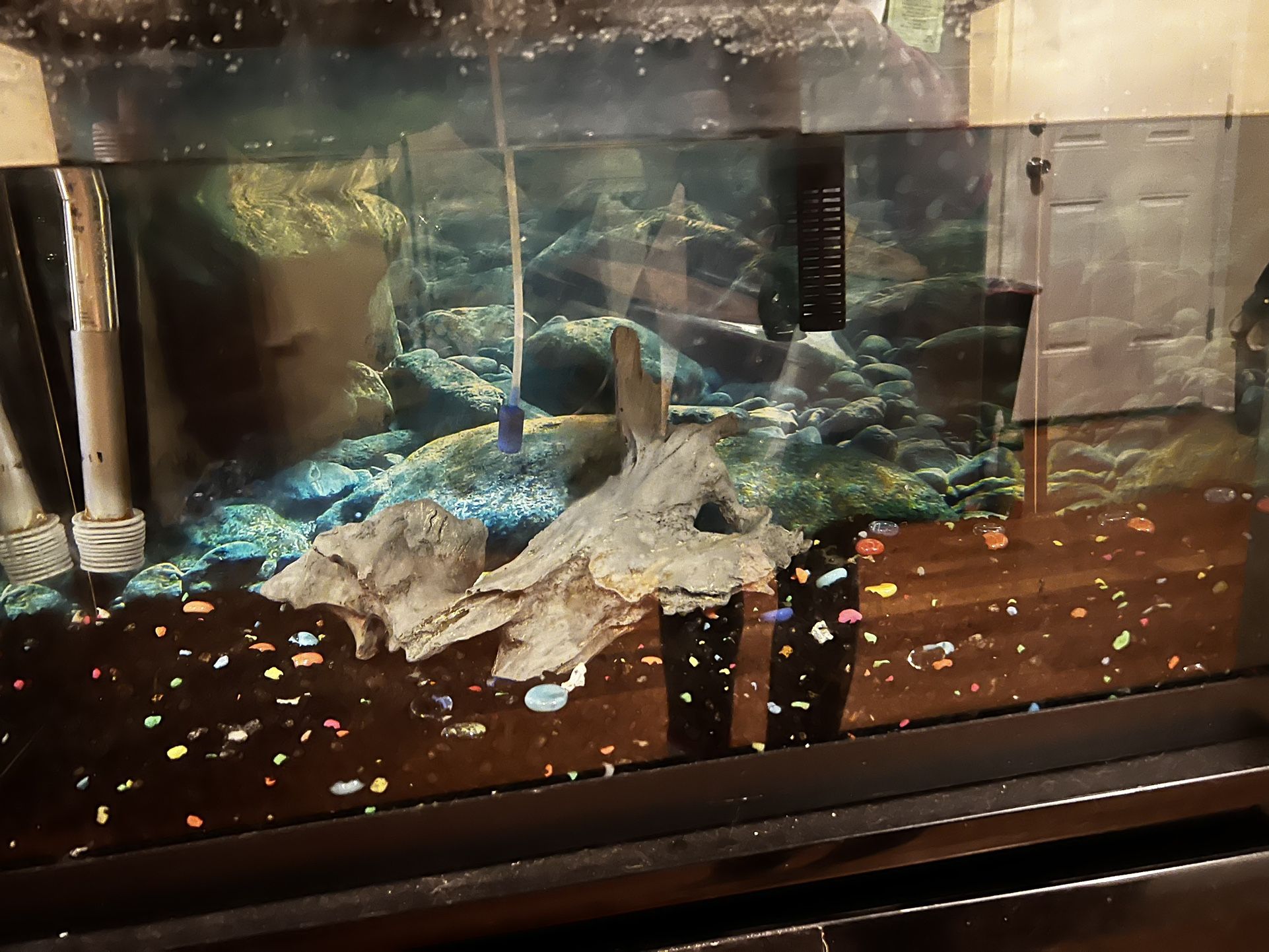 20 Gallon Fish Tank With Stand