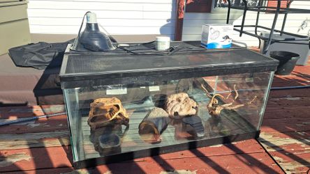 Glass Reptile Tank with Screen Lid and Decor