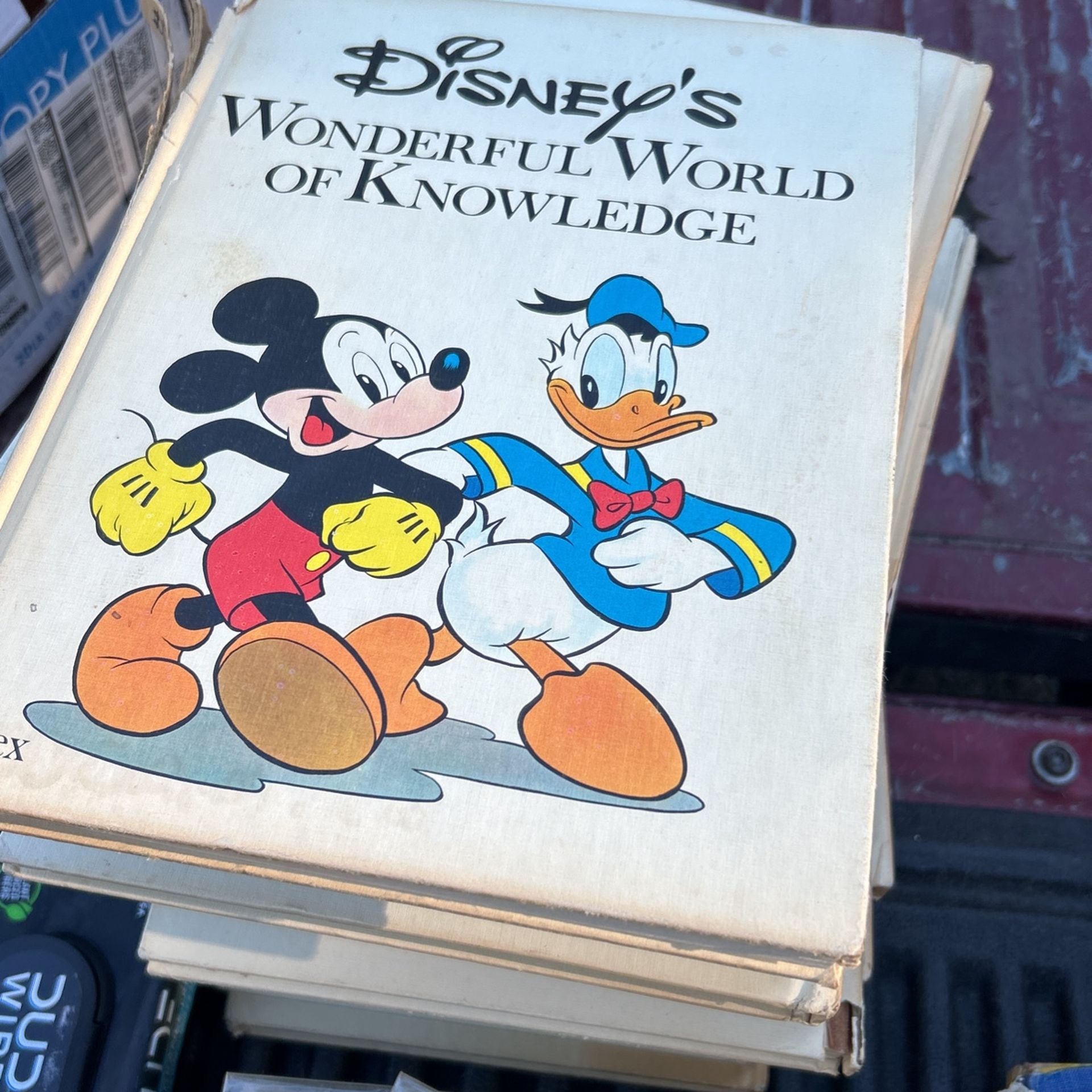 Disney Book Collection