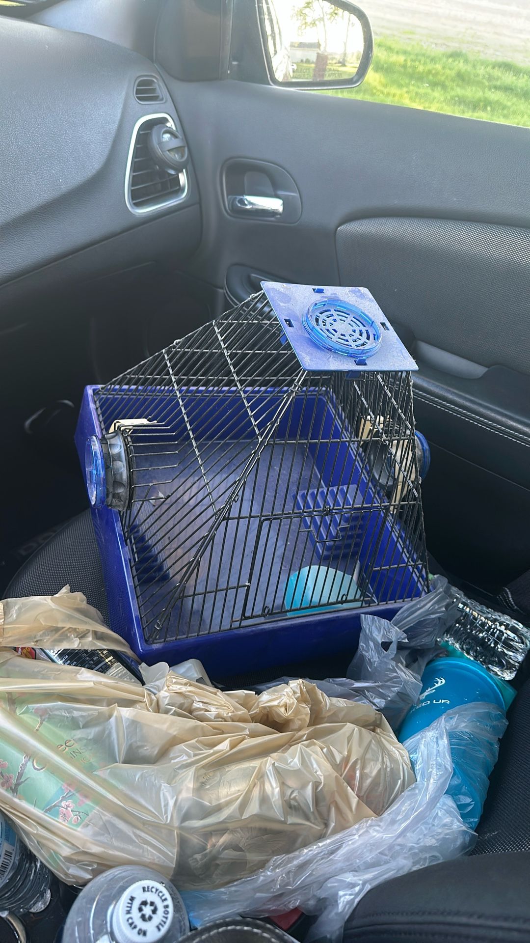 hamster cage