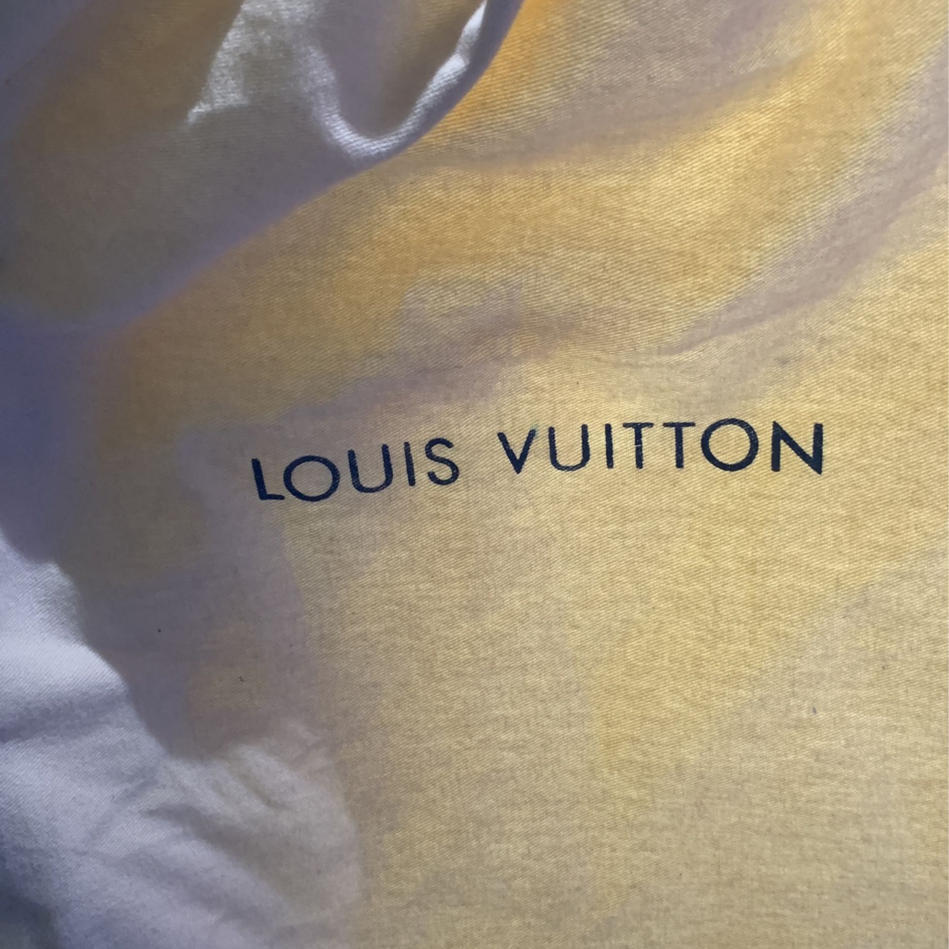 Louis Vuitton 408 Trainers for Sale in Elizabeth, NJ - OfferUp