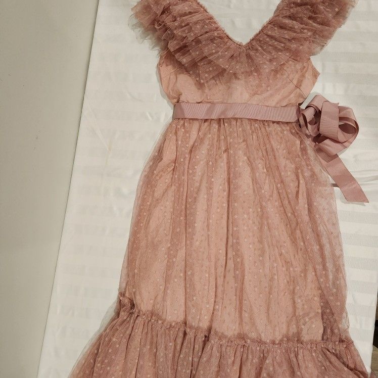 Pretty Mesh Party Rose Dress